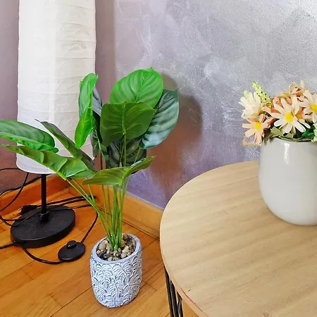 Apartment Paradise Symphony *