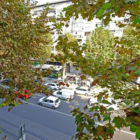 Paradise Symphony Belgrade